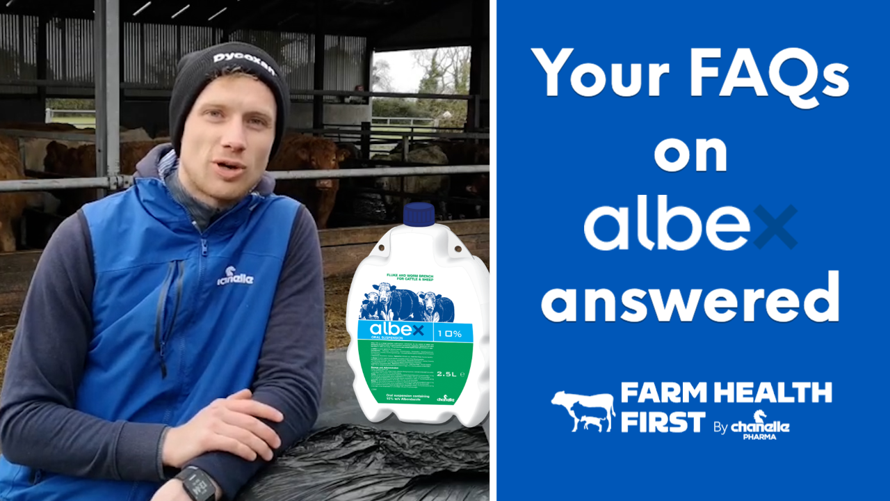 Answers to your FAQs on Albex