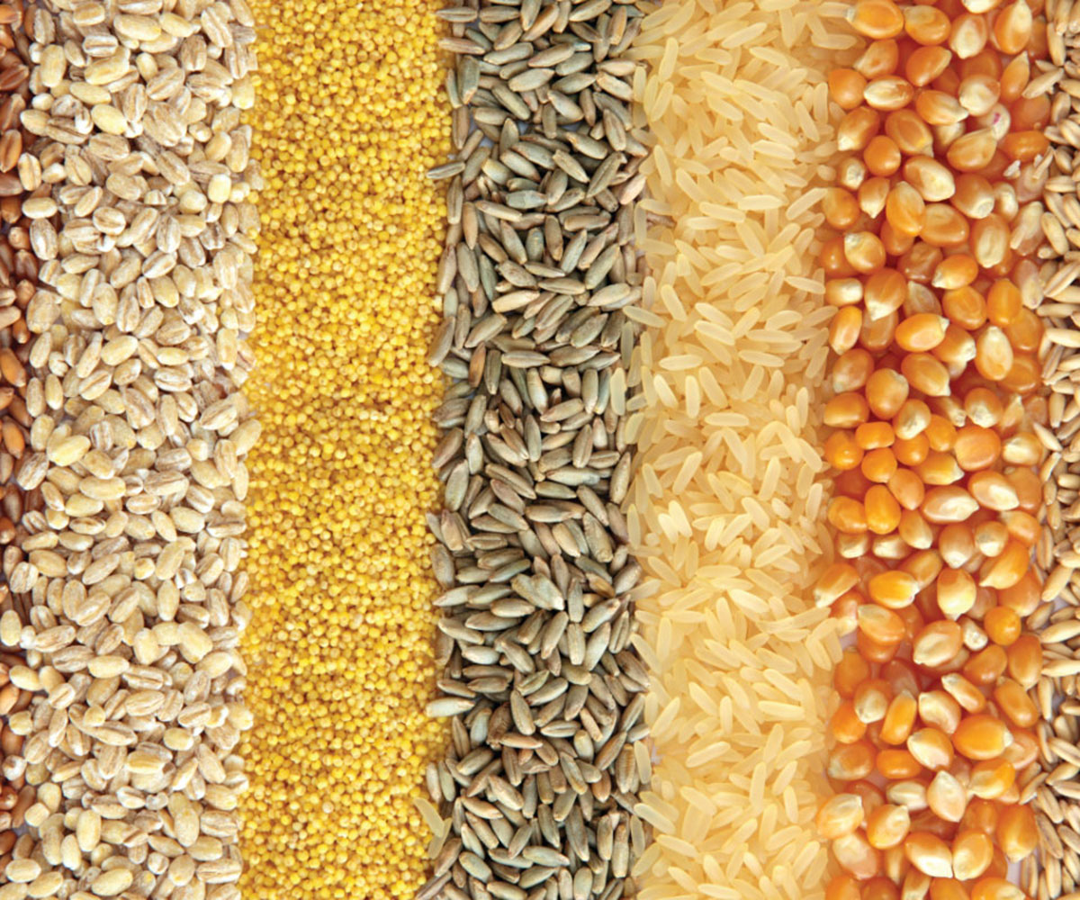 U.S. Grains Continue to Flow