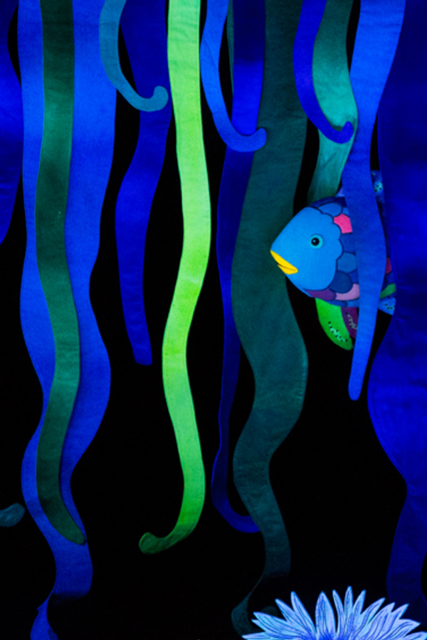 Rainbow Fish