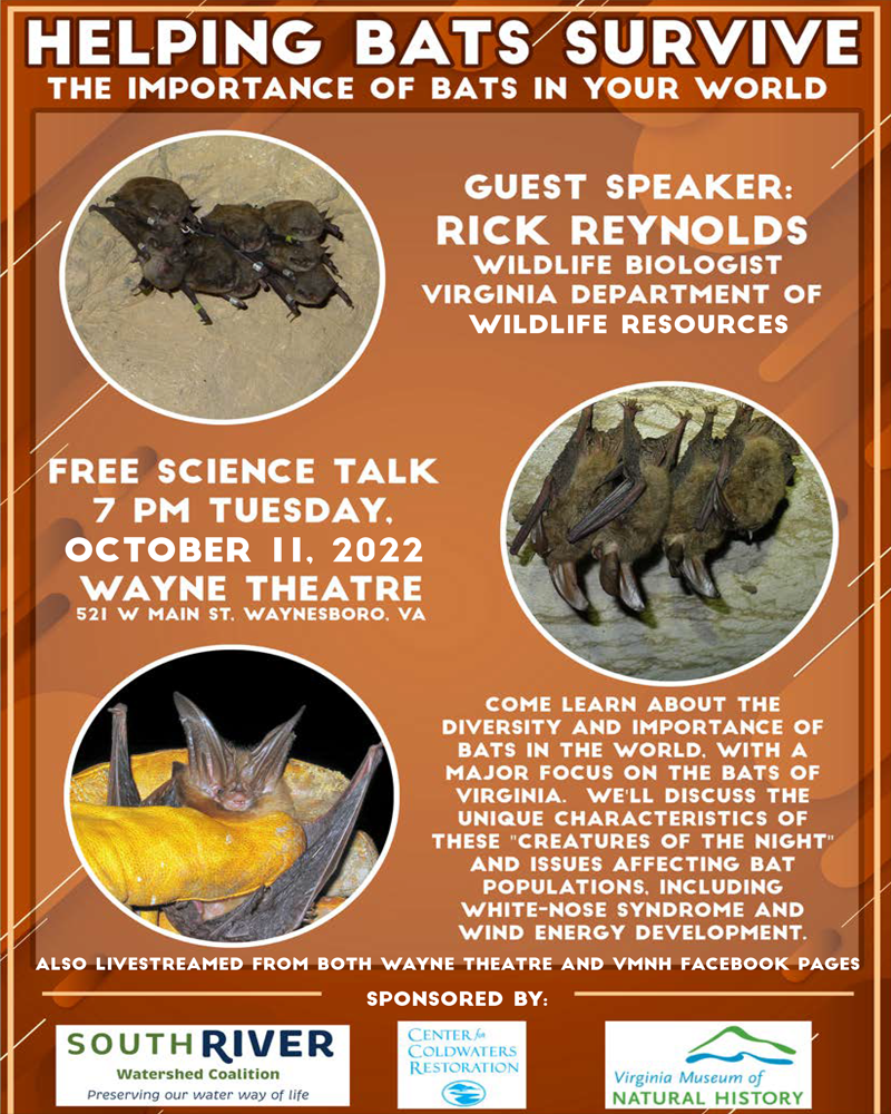 Science Talk: Sustainable Habitat for Bats