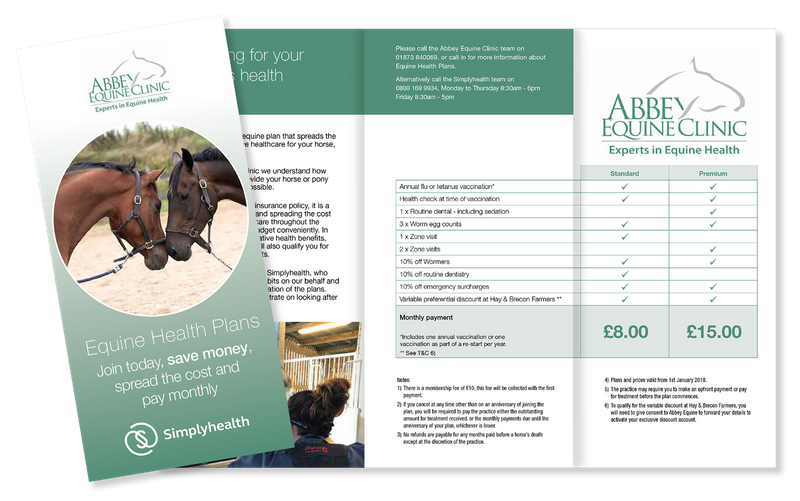 Abbey Equine Centre Experts In Equine Health