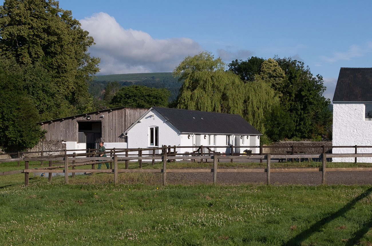 Abbey Equine Our Services