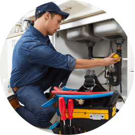 the solution support image