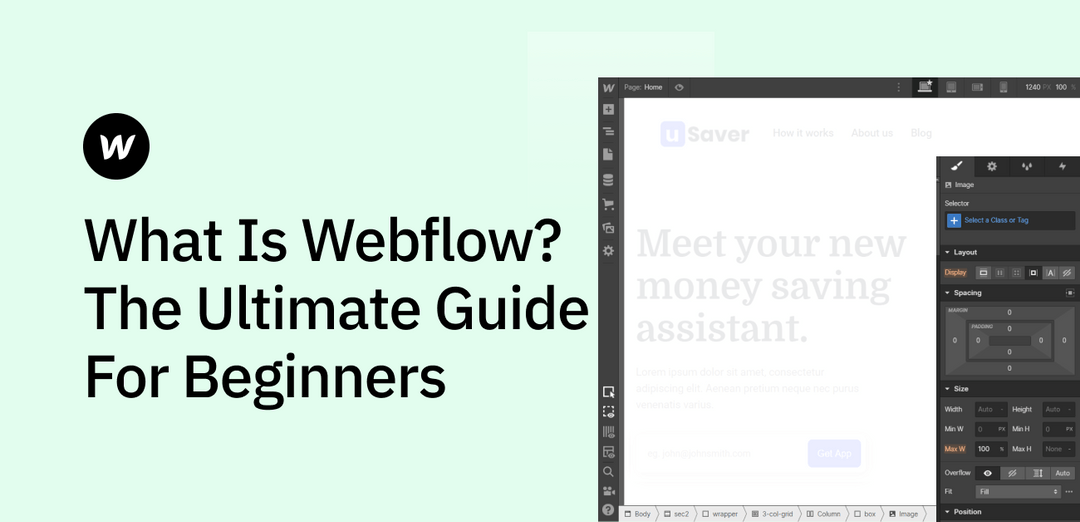 What is Webflow? The Ultimate Guide for Beginners | TweakDesigns