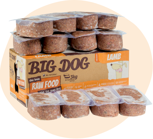Lamb Raw Dog Food Products Big Dog Pet Foods