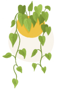 devil's ivy plant illustration