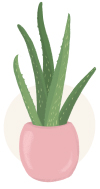aloe vera plant illustration