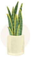 mother-in-law's tongue plant illustration snake