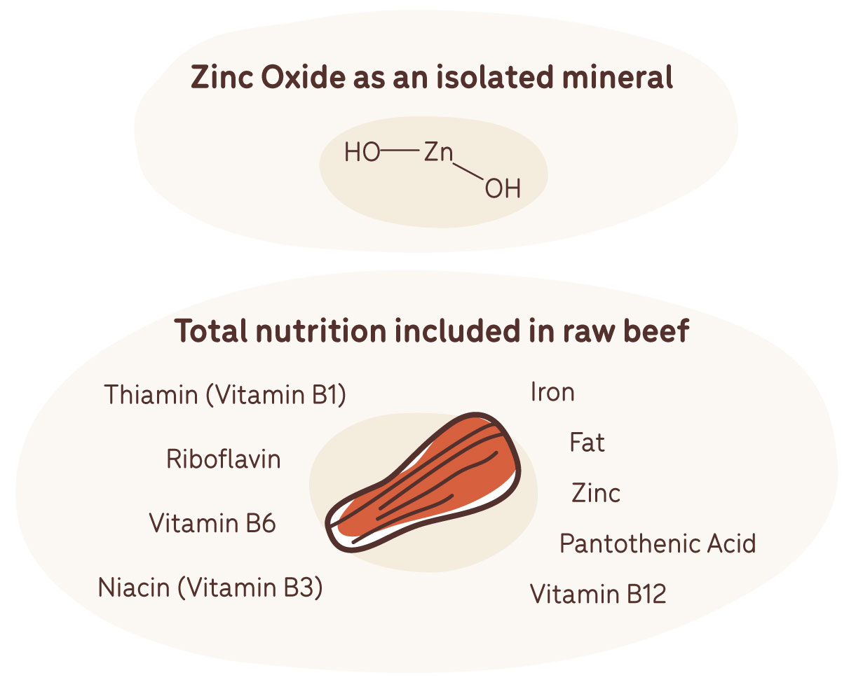 zinc as isolated mineral versus nutrients in raw beef