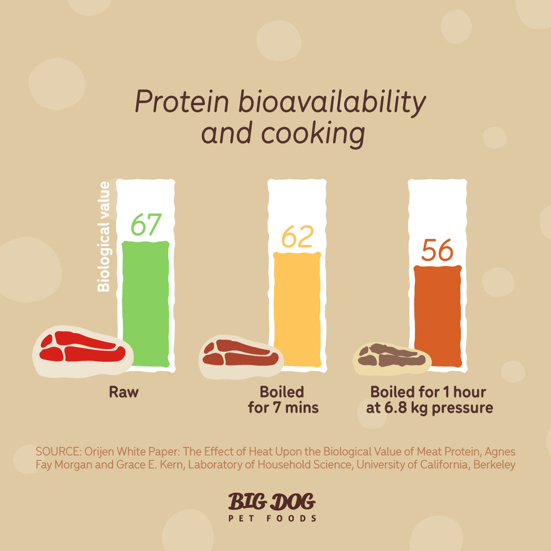 protein bioavailability and cooking in pet foods