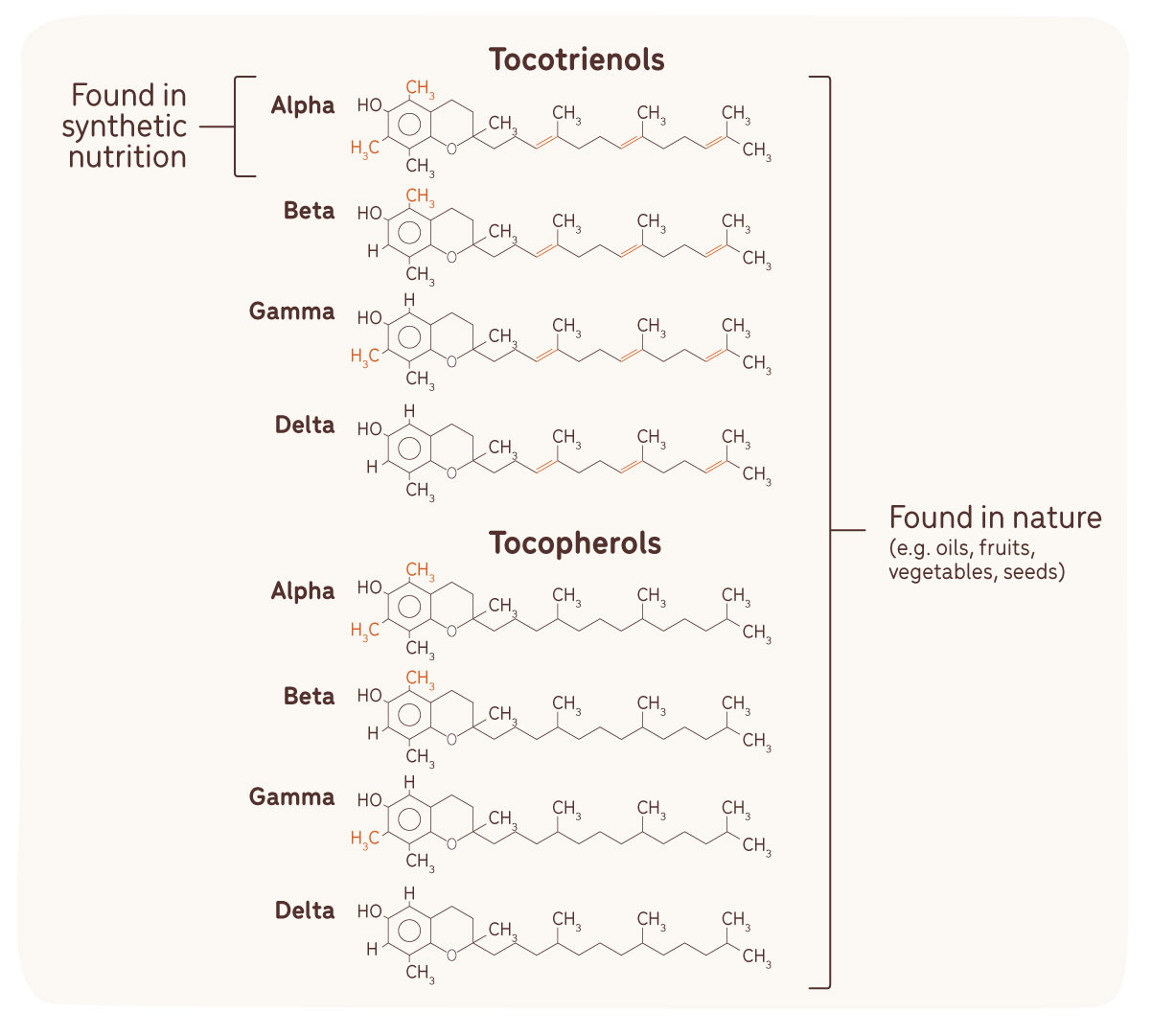 vitamin found in synthetic nutrition versus nature