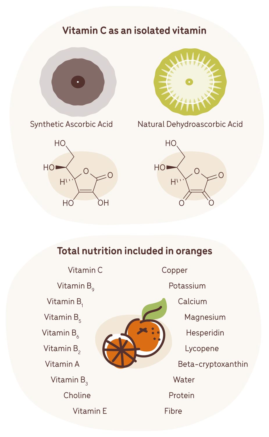 vitmain c vitamin versus nutrition in oranges