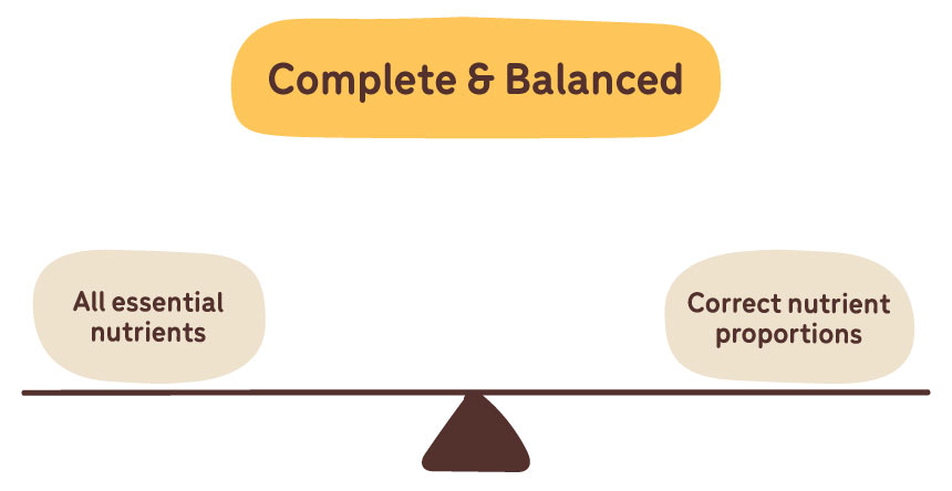 complete and balanced diagram