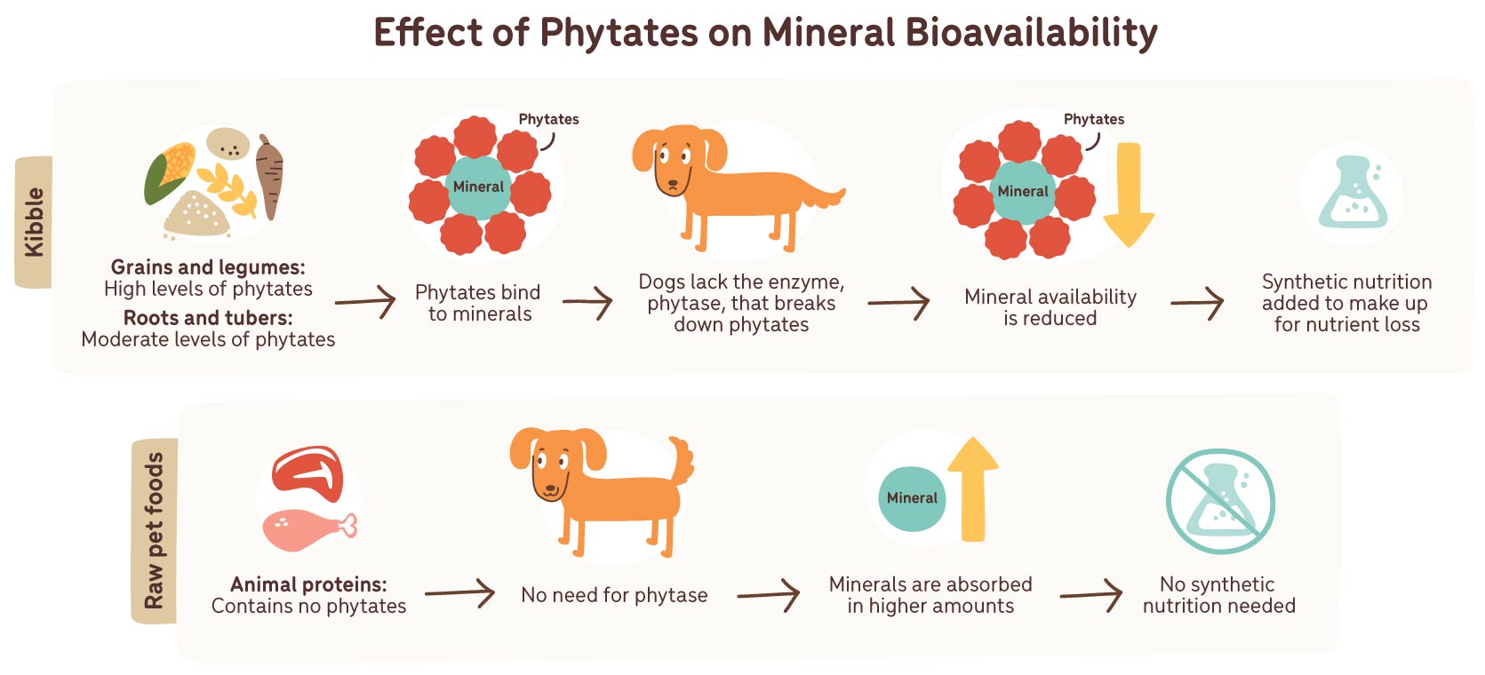 effects of phytates on mineral bioavailability