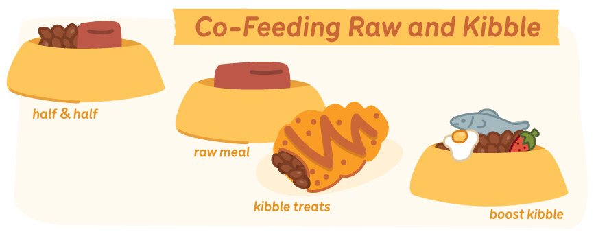 co-feeding raw and kibble dog food