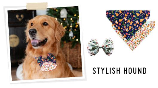 cute golden retriever wearing bow tie