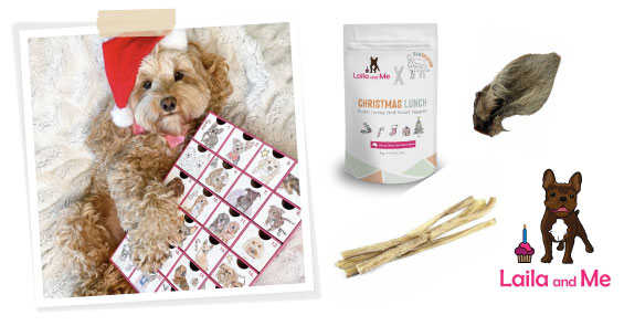 dog hugging advent calender