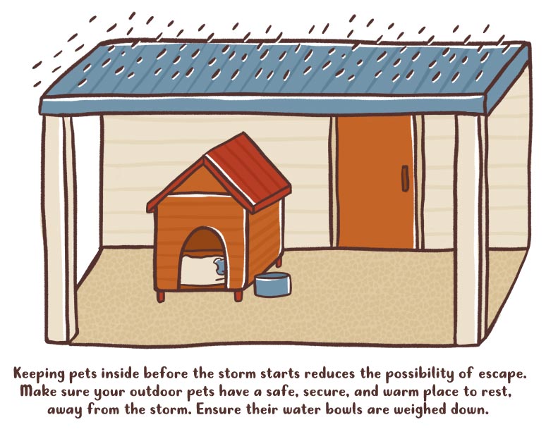 protect outdoor pets from the storm