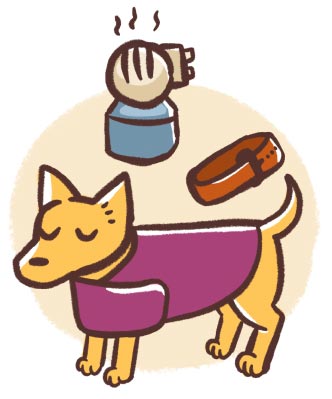 products to help pets during a storm
