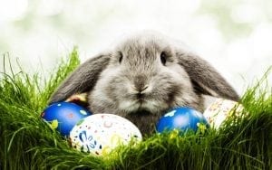 Easter Brunch with the Easter Bunny