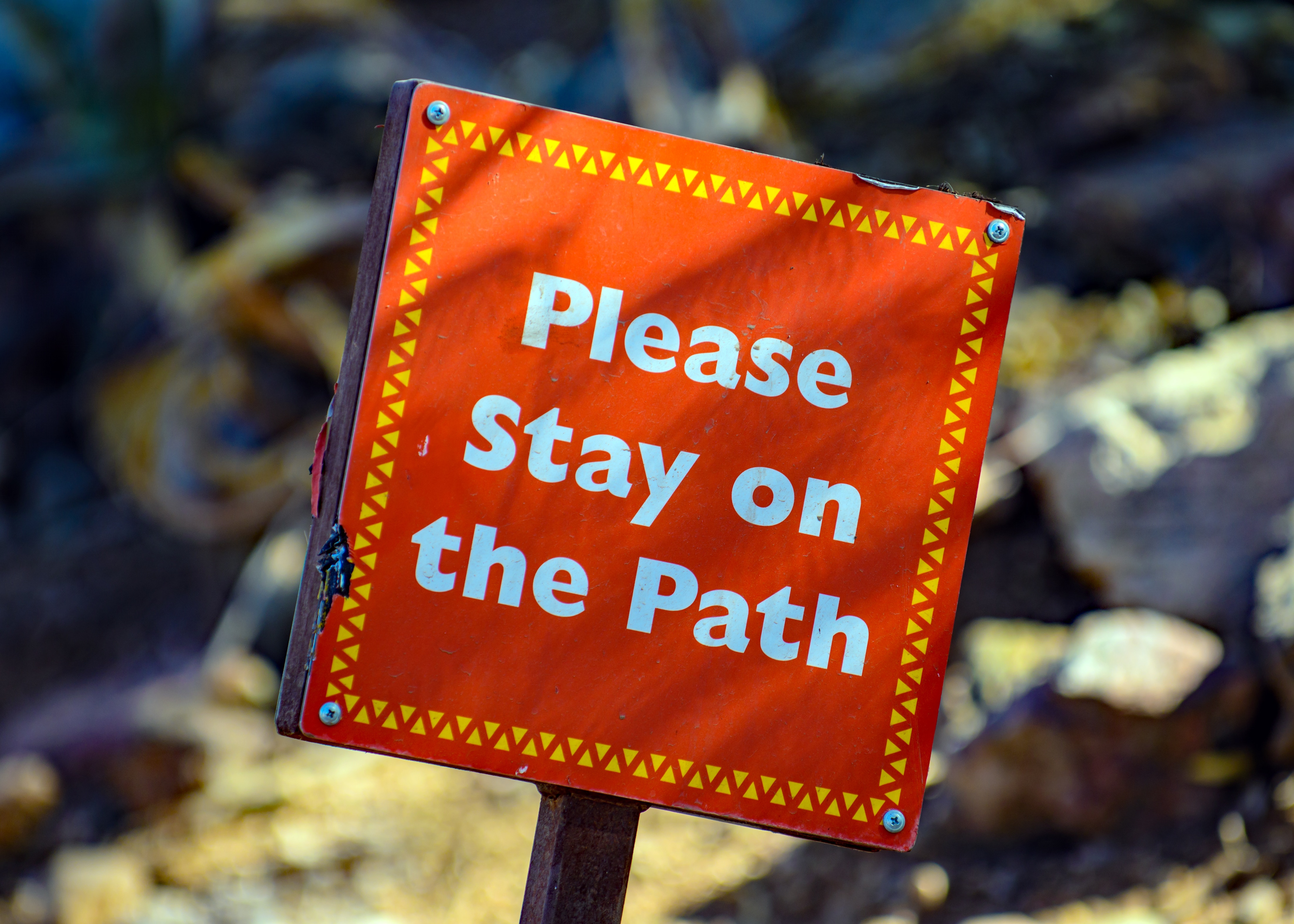 "Please Stay on the Path" - how to prevent coupon fraud and be in control of coupon redemptions