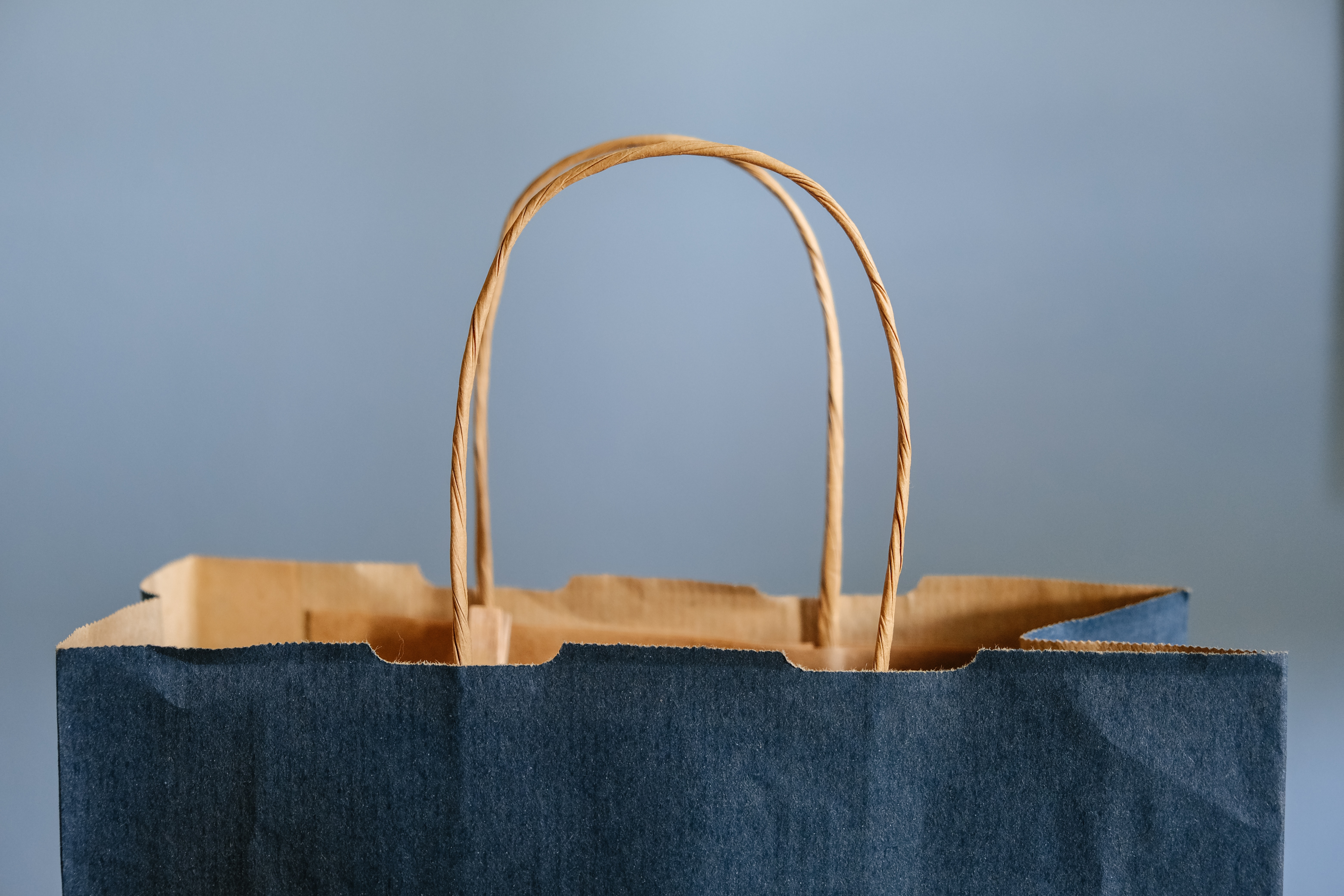 Blemishing Effect and its impact on sales - an image of a shopping bag