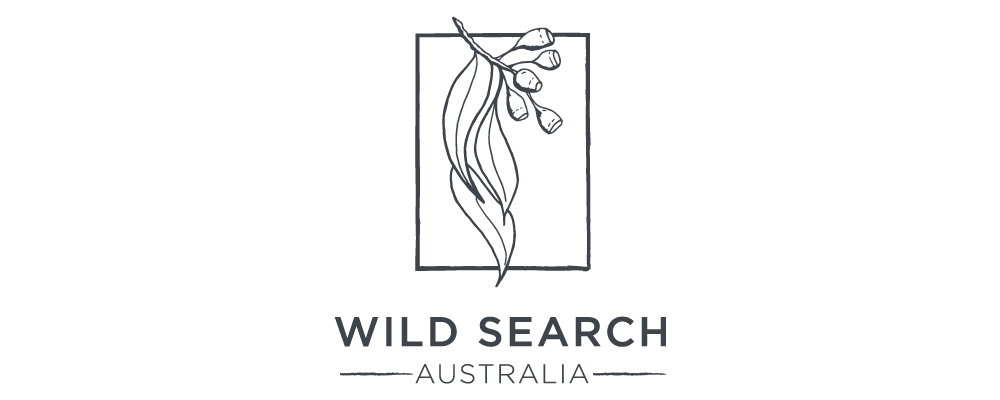 Wild Search Australia logo Wild Search Australia logo