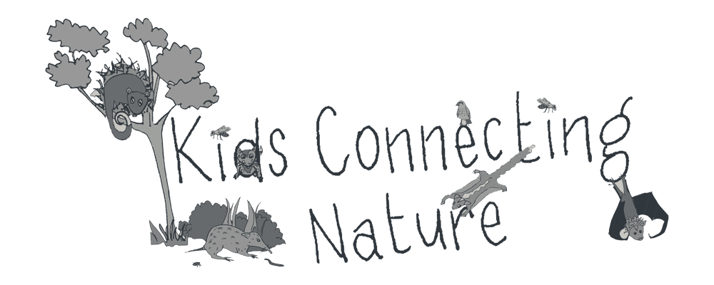 Kids Connecting Nature logo Kids Connecting Nature logo