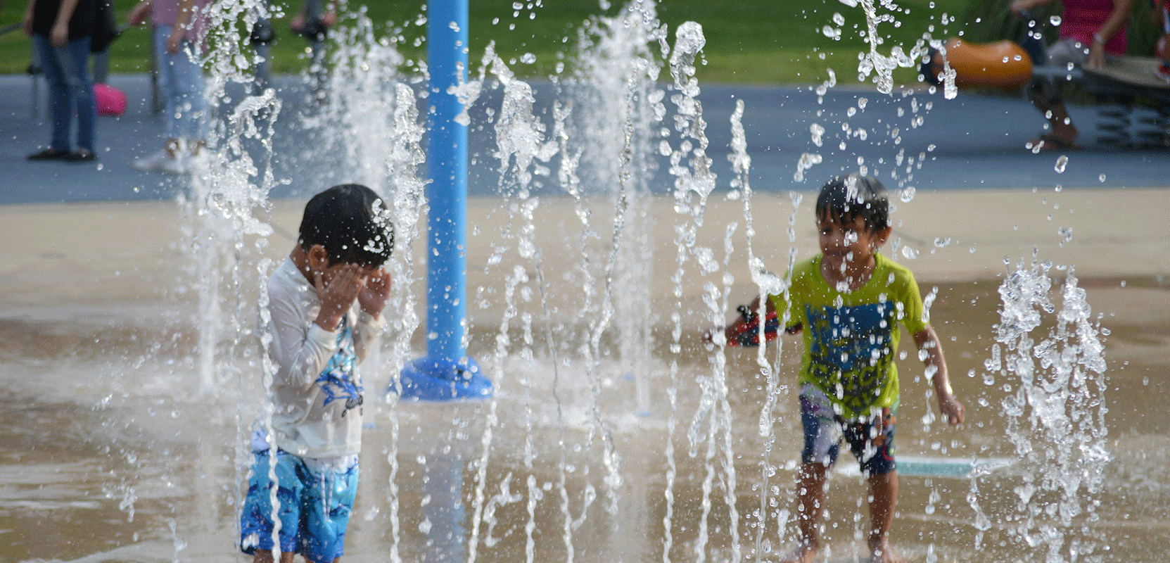 About Roselle Park District