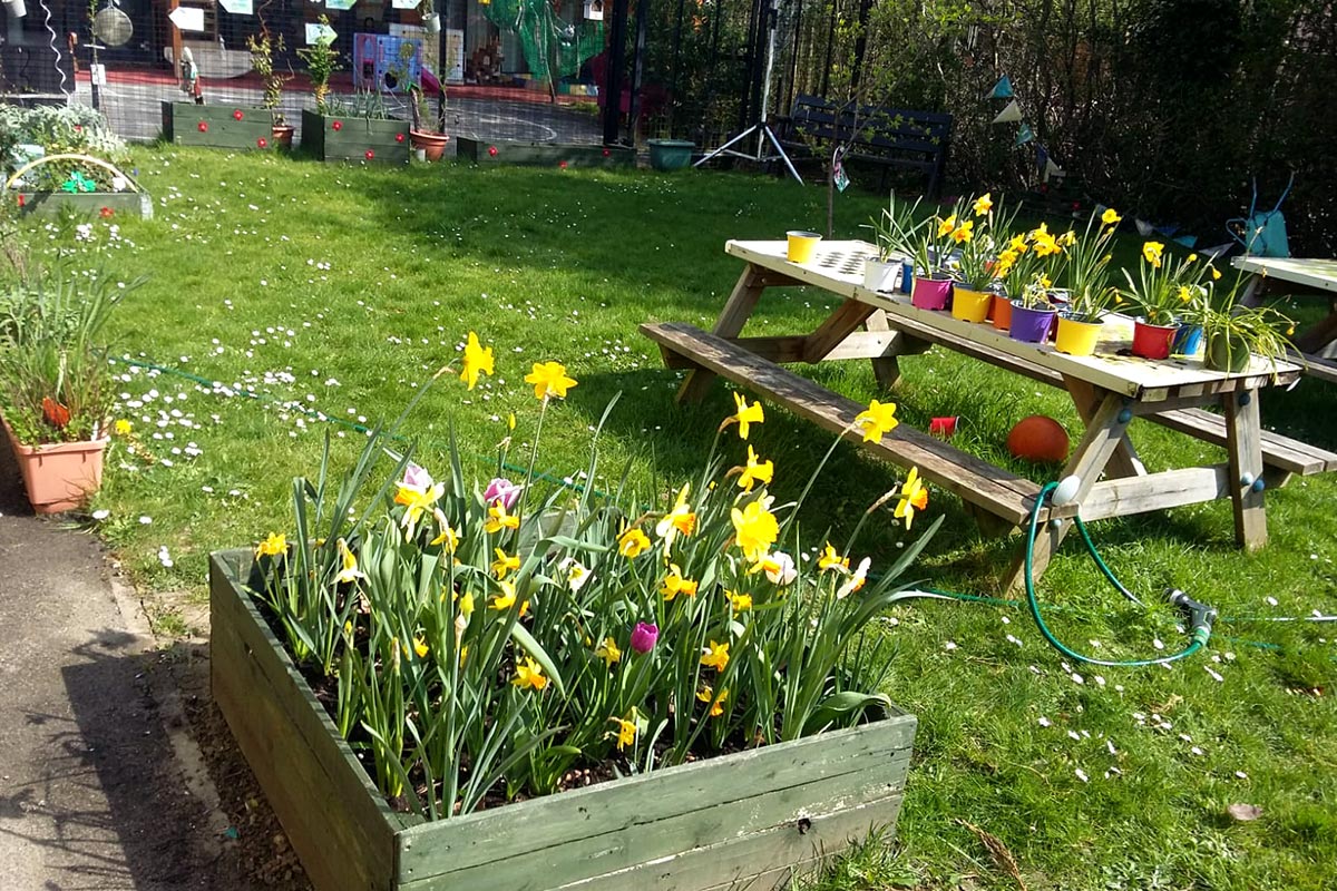 Our Garden Blooming