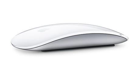 Souris