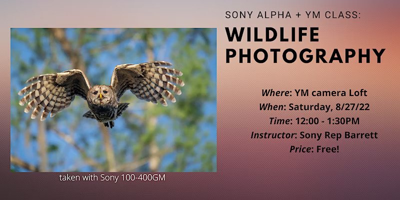 Wildlife Photography Class With Sony Alpha