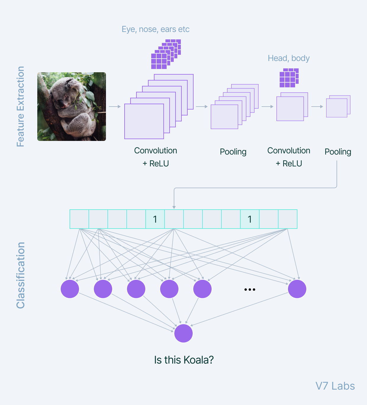 A Comprehensive Guide to Convolutional Neural Networks
