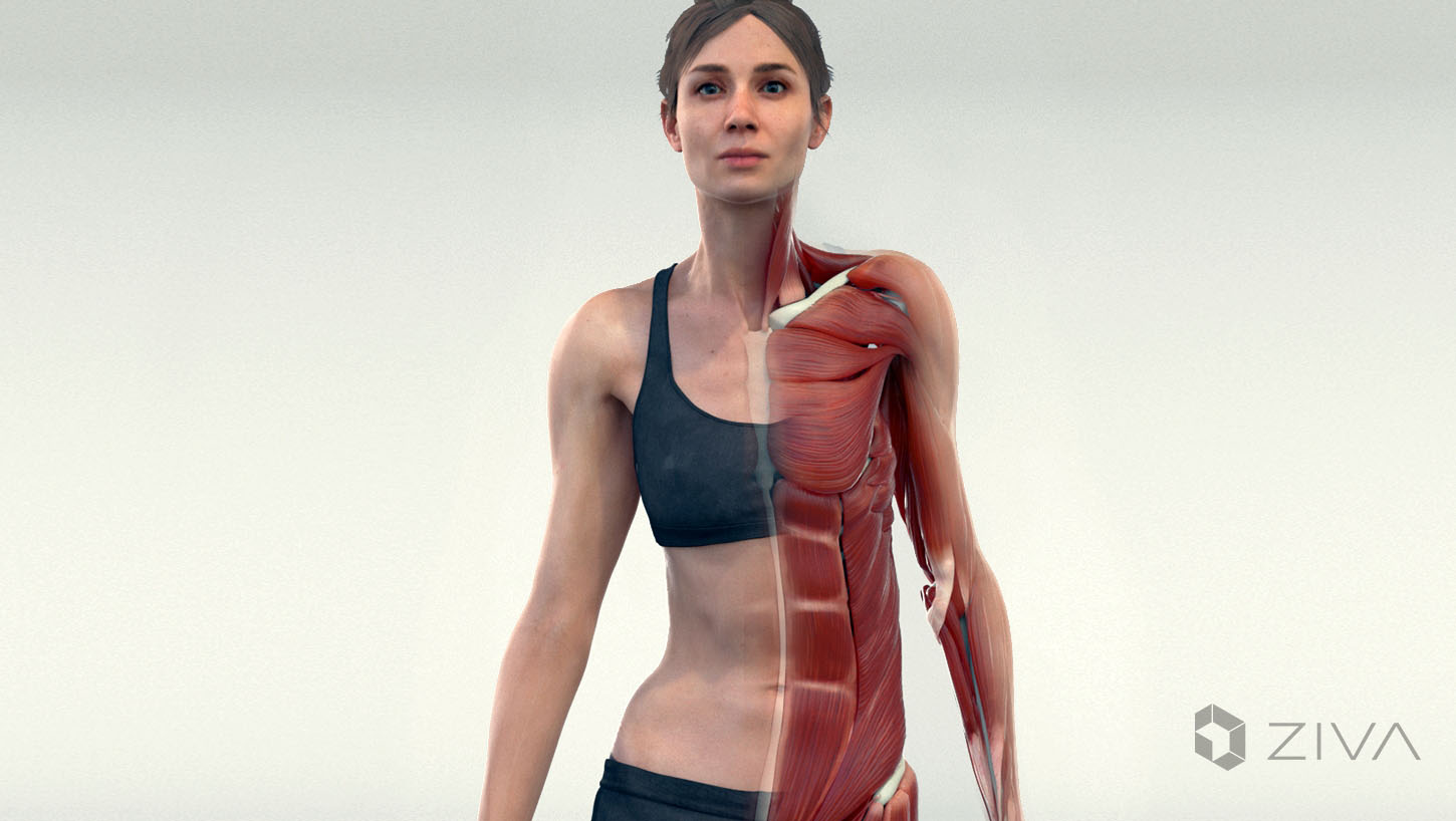 3D woman model with 1/2 anatomical diagram body