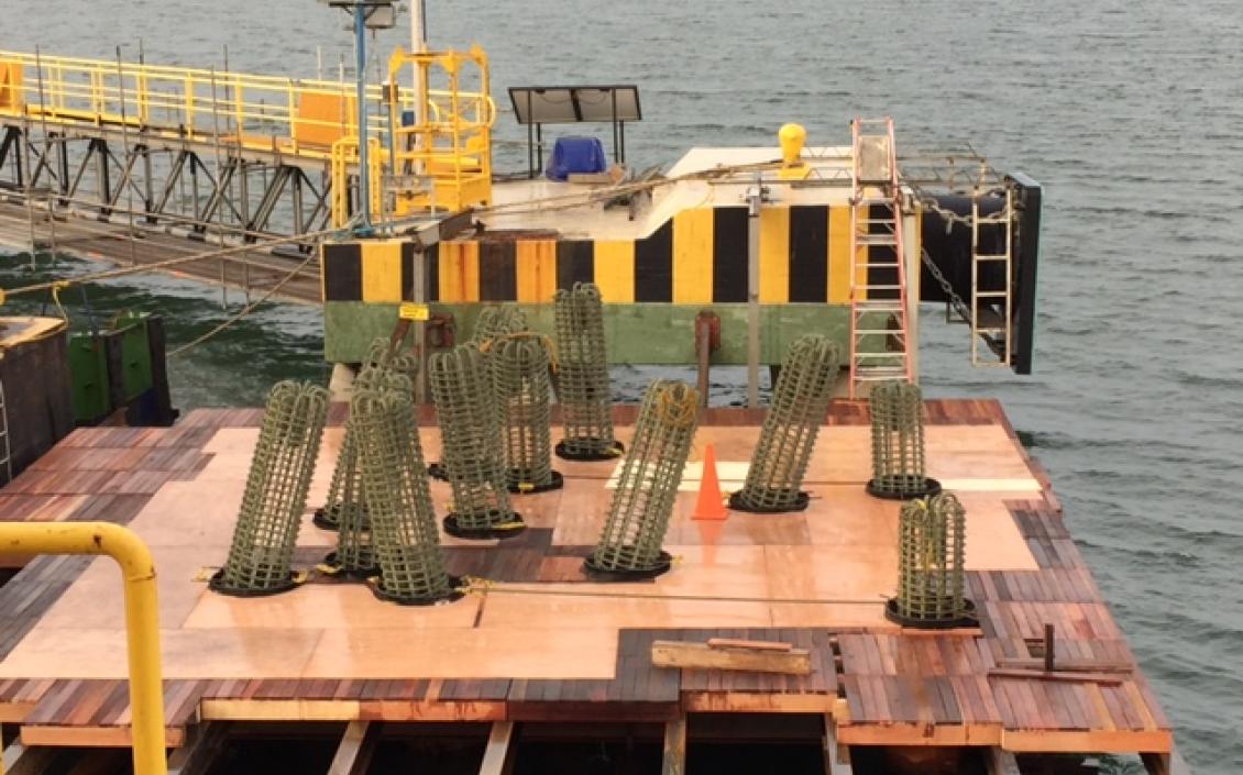 Ecopetrol TNP (Terminal Nestor Pineda), Bolívar (+57 1 800 0918418)