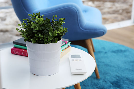 A side table with a plant and a Daikin air conditioner remote