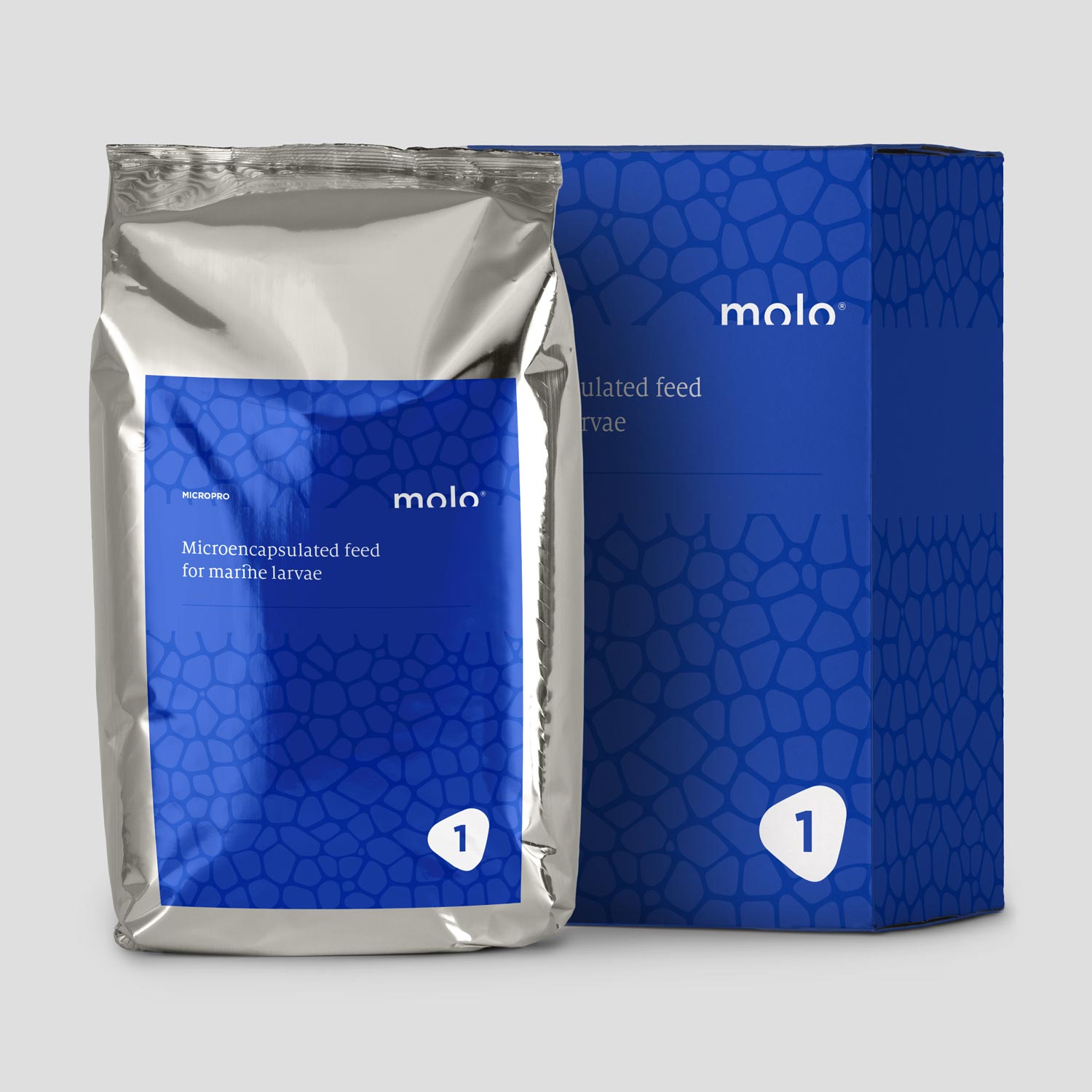 Molo 1