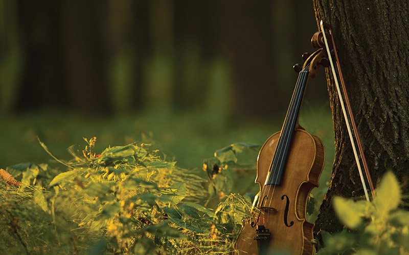 Louisiana Philharmonic Orchestra: Yuletide Celebration