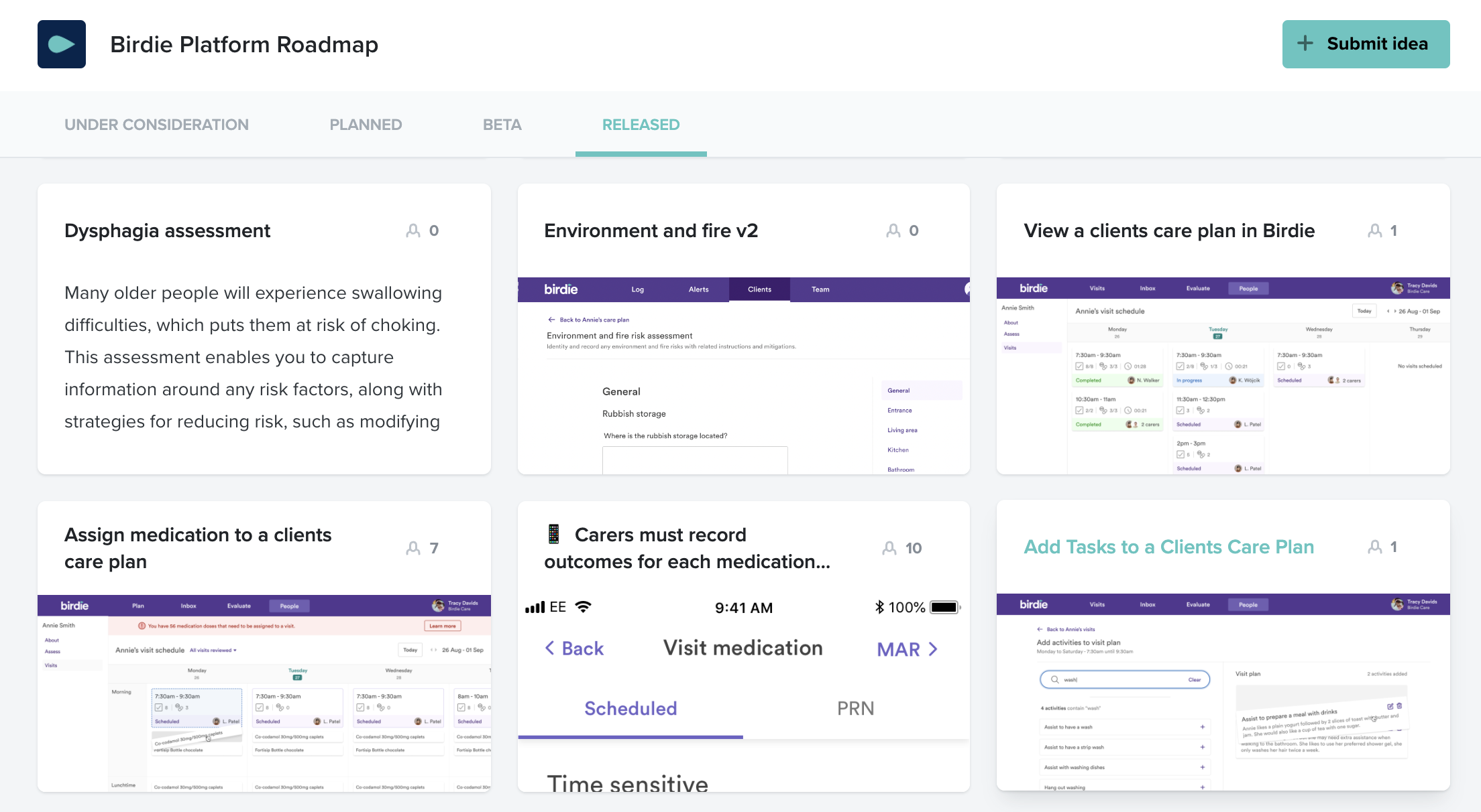 Birdie Public Roadmap