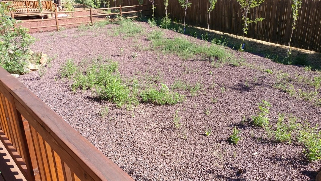 Christopher's Garden Nursery Services