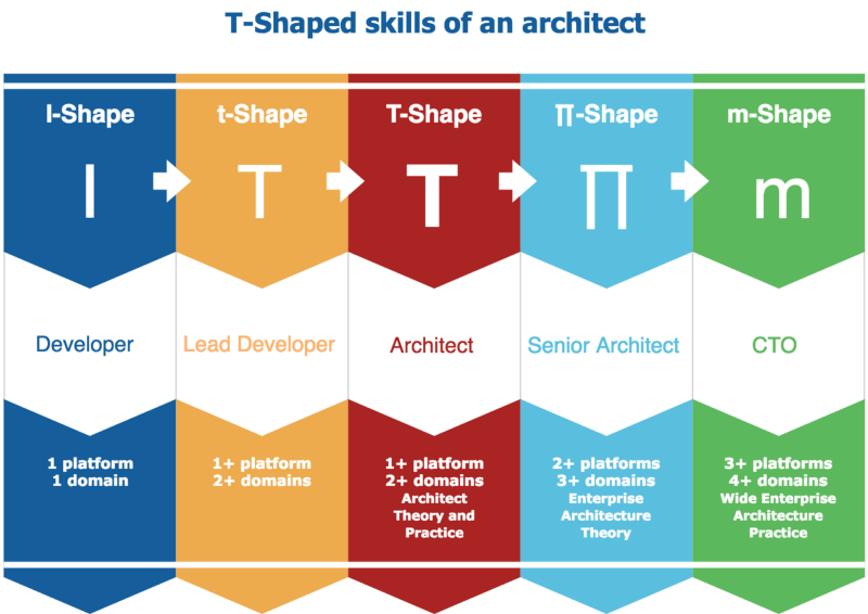 software architect