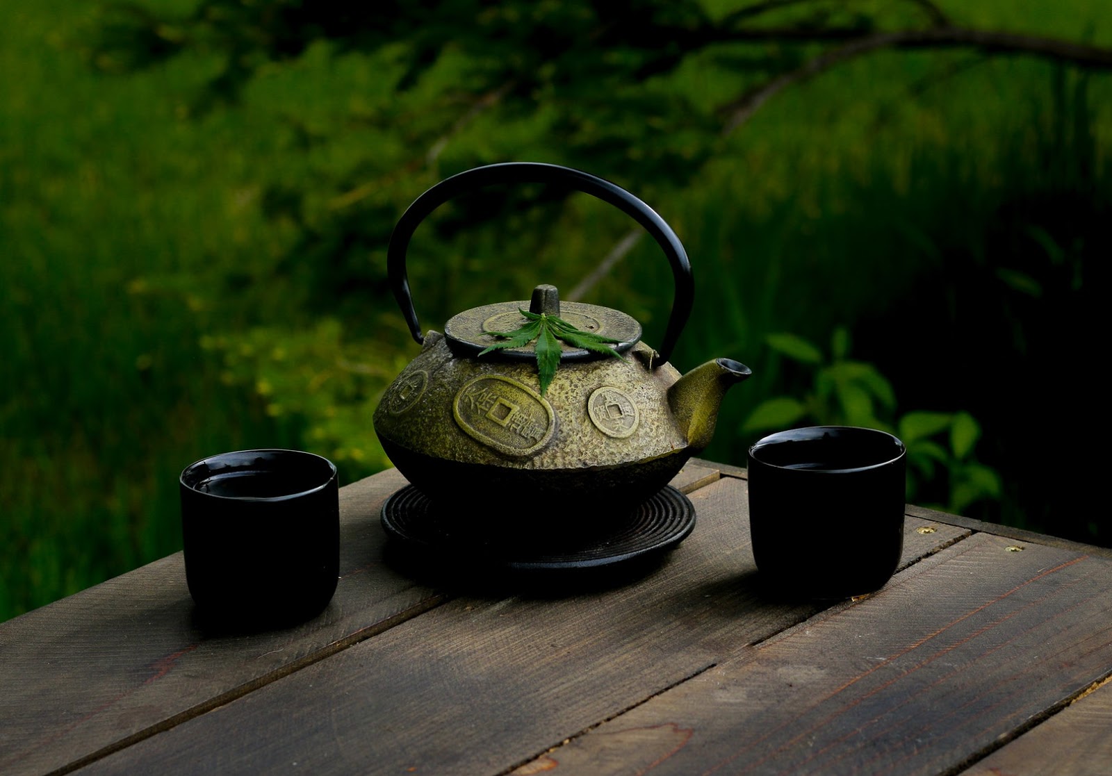 Benefits of Electric Teapots For Loose Leaf Tea + Best Options Cup & Leaf