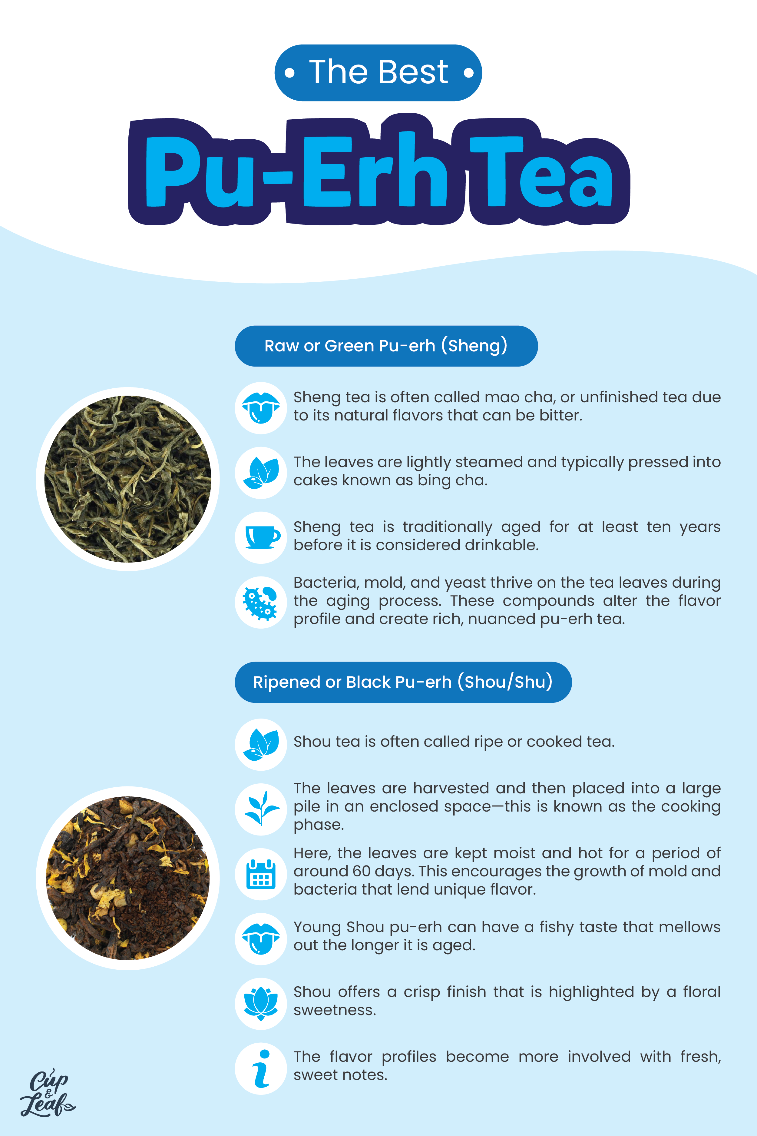 Uncover Aged Flavor With the Best Puerh Tea Cup & Leaf