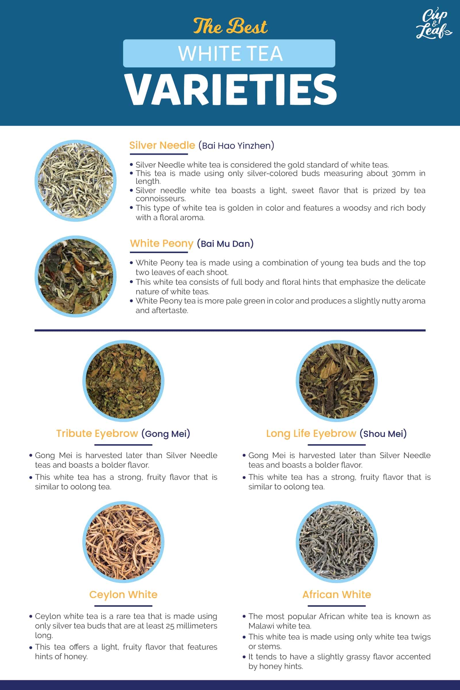 The Best White Tea Varieties Cup & Leaf
