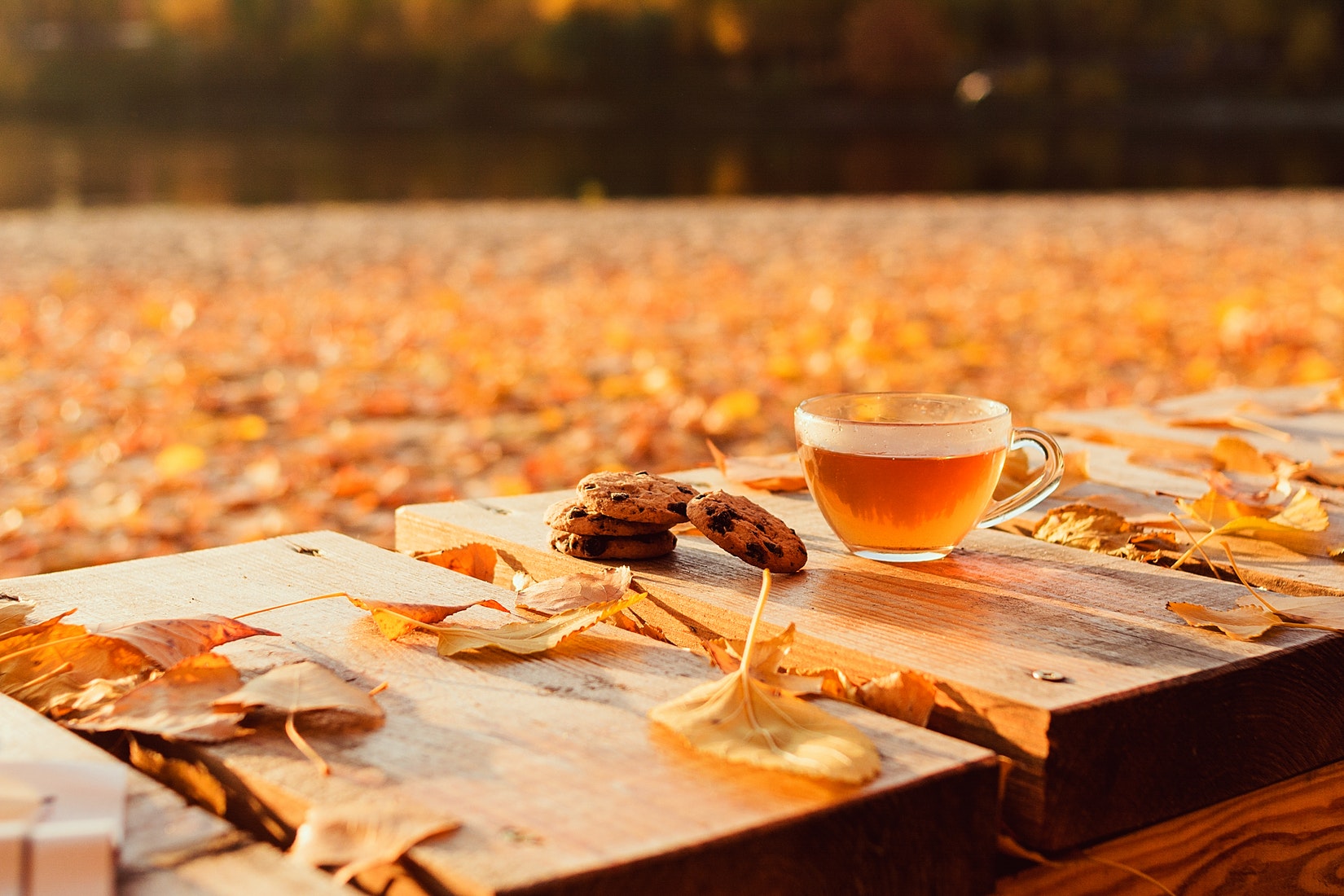 The Ultimate Guide To Black Tea Cup & Leaf