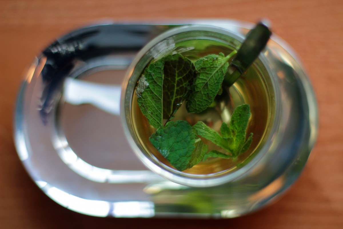 What Is the Green Tea Diet and Does It Really Work? Cup & Leaf