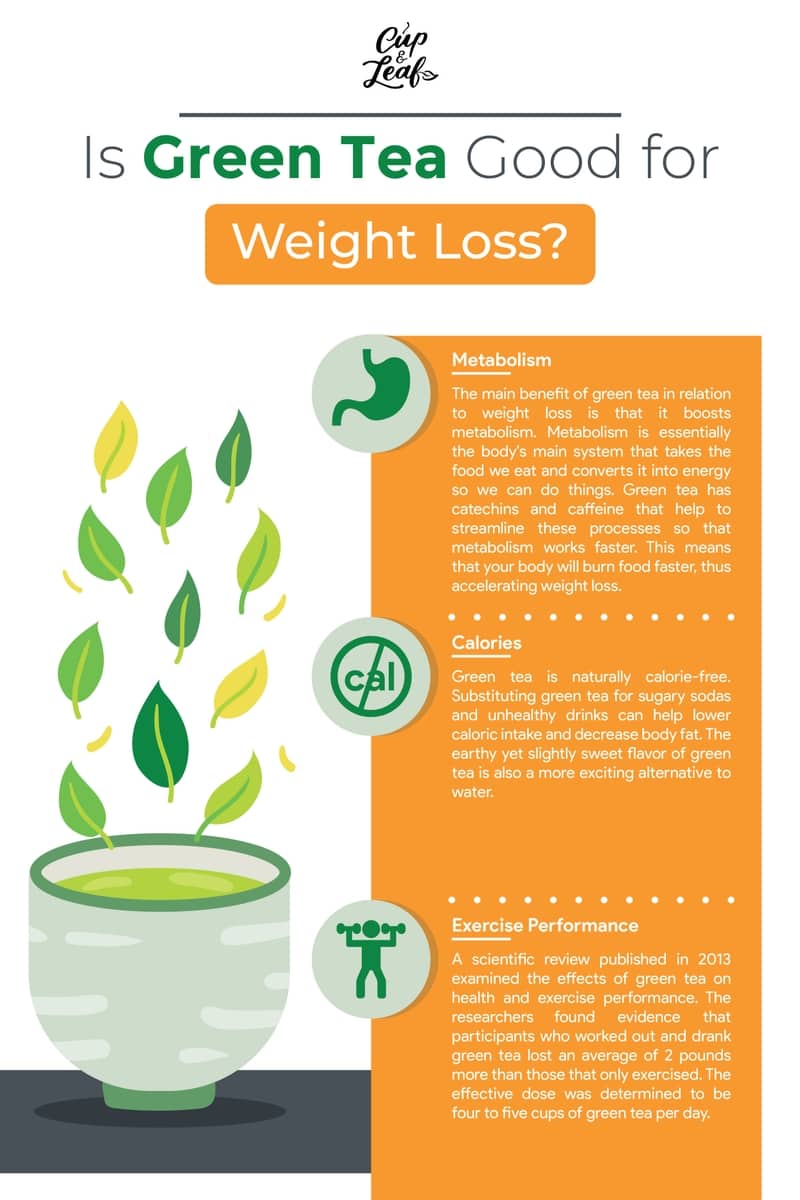 Is Green Tea Good for Weight Loss? Get the Facts Cup & Leaf