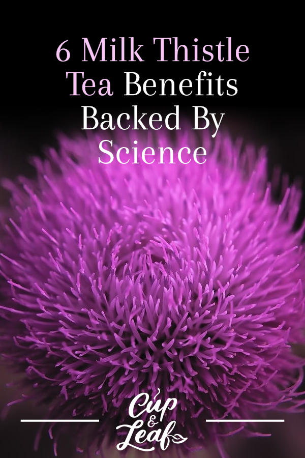 6 Milk Thistle Tea Benefits Backed By Science Cup & Leaf