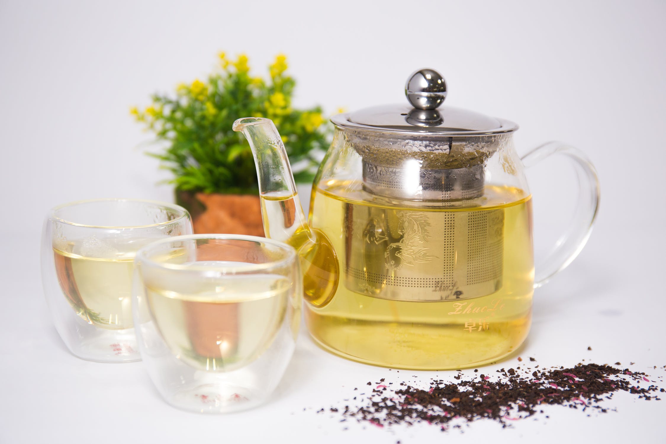 What Is White Tea Everything You Need To Know About This True Tea