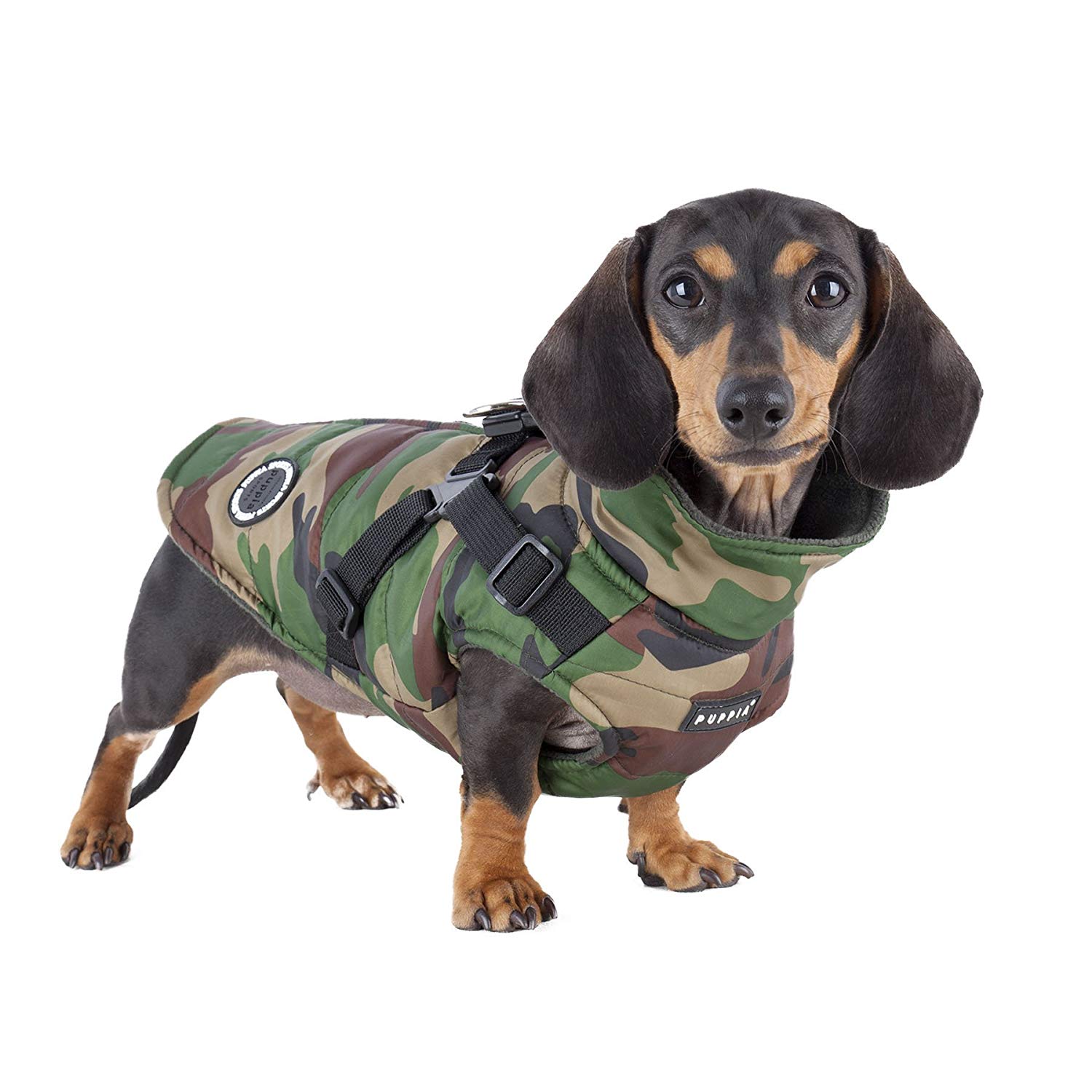 A wiener dog in a camouflage coat.
